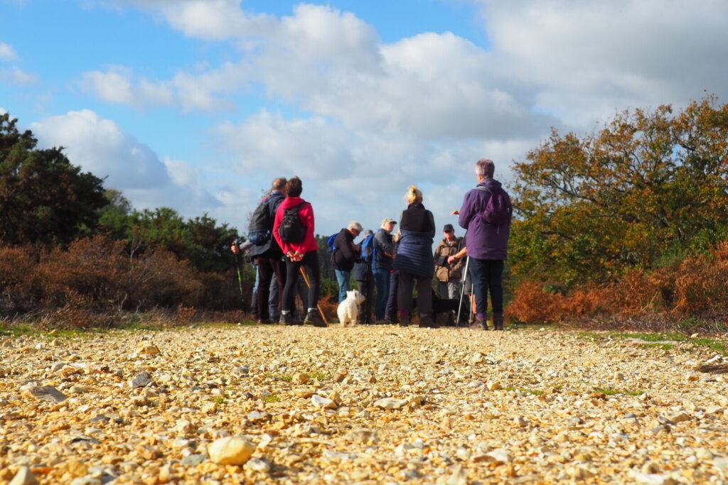 A group of people stand on a New Forest track listening to a New Forest NPA ranger talk about the National Park.
