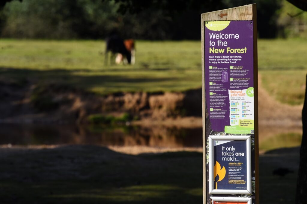 New Forest information sign on wooden post in foreground, with a blurred pony grazing in a grassy field behind
