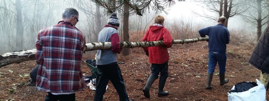 volunteers carrying a tree