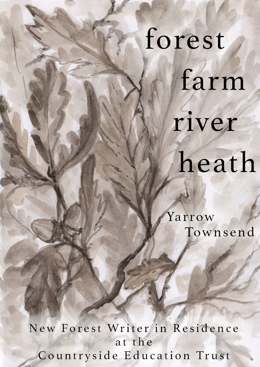 Pamphlet cover with grey leaf illustration and text “forest farm river heath” by Yarrow Townsend, New Forest Writer in Residence