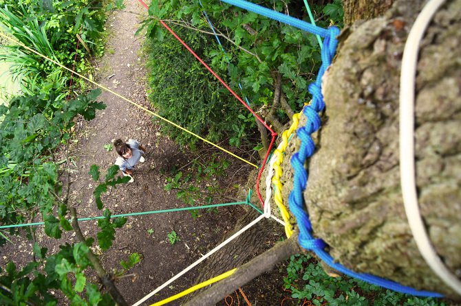 Tree with coloured rope around it