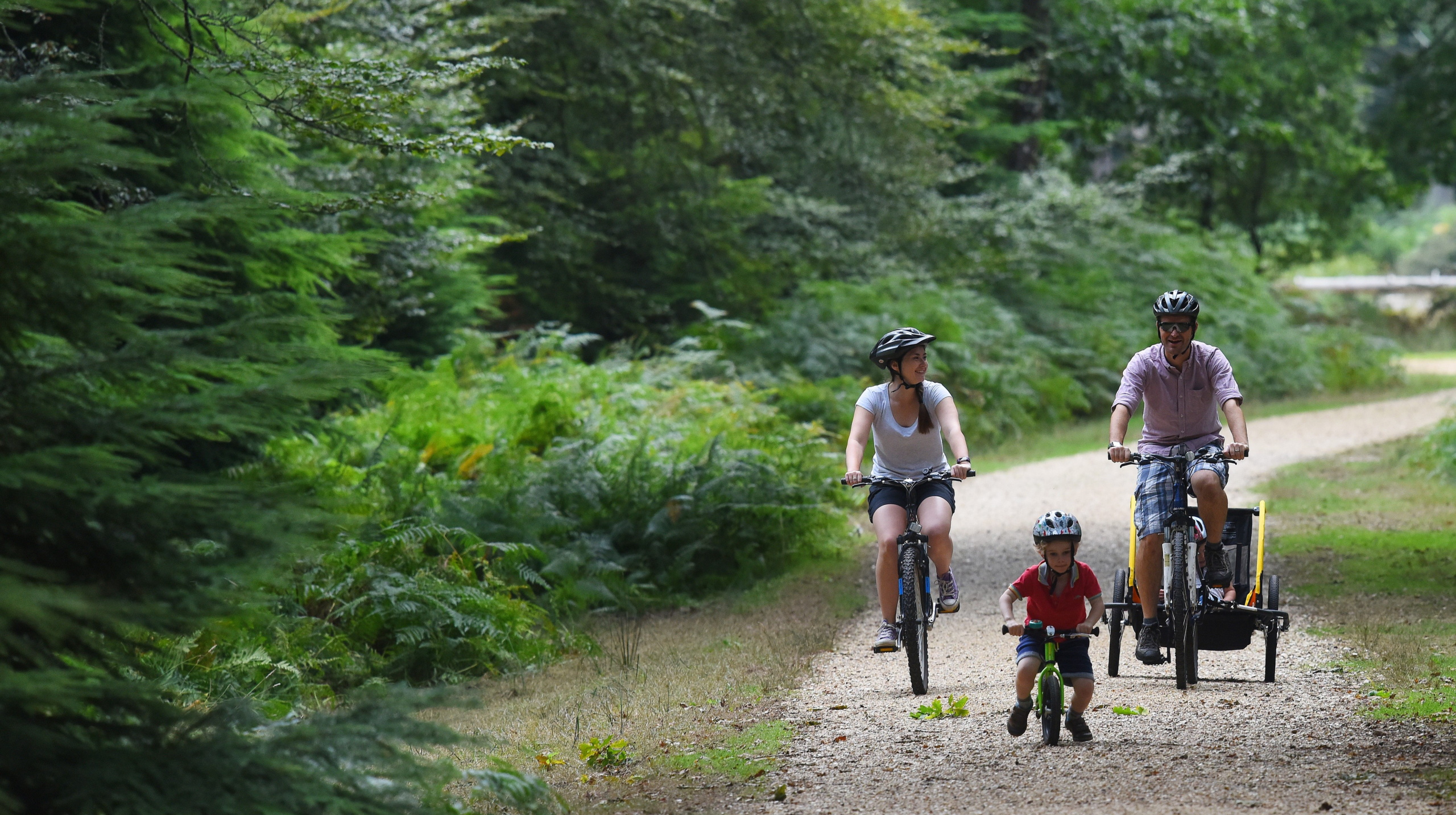 Family cycling on Hawkhill Trail through dense green forest, with a child on a small bike leading two adults on the gravel path
