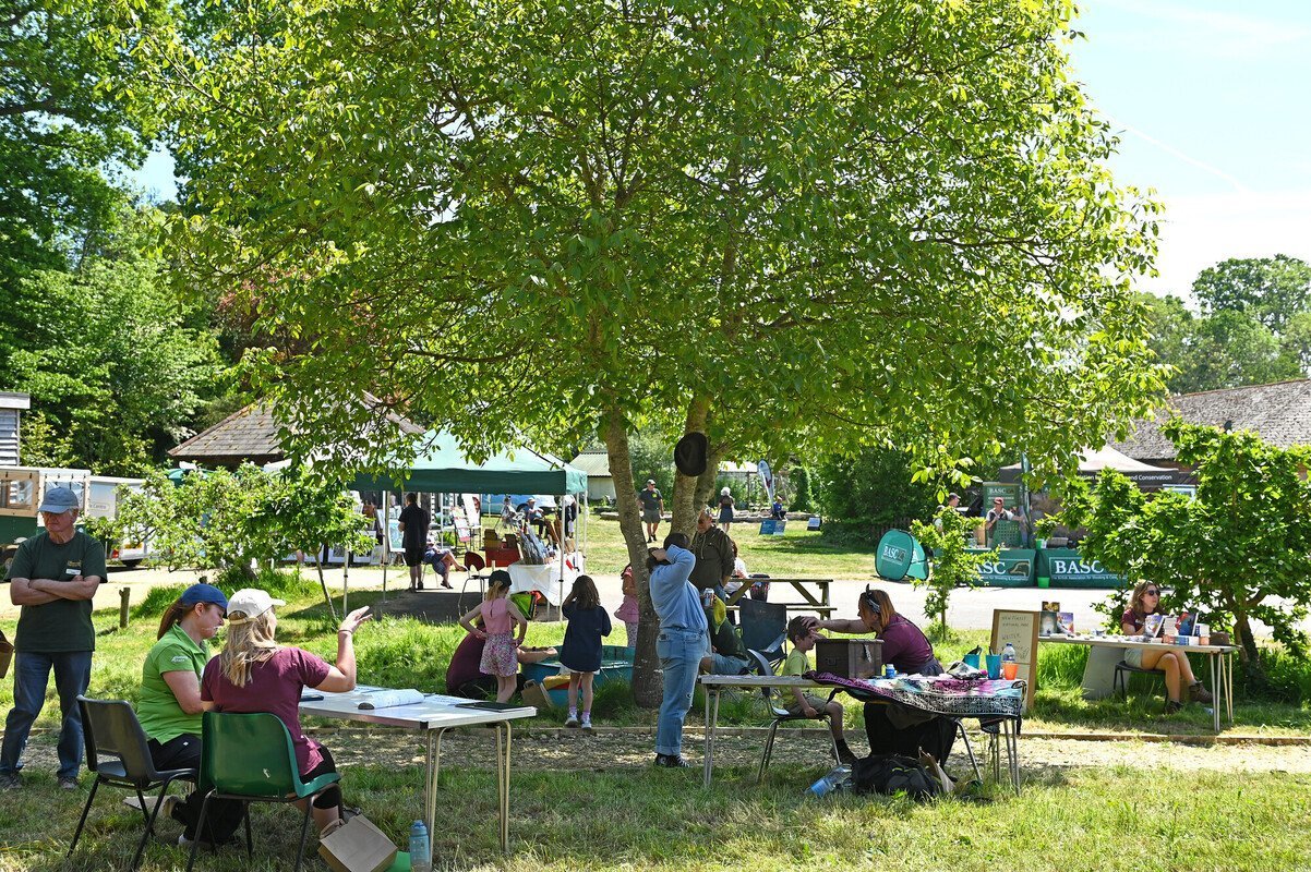 1 RS18632_DSC_8565-28_scr