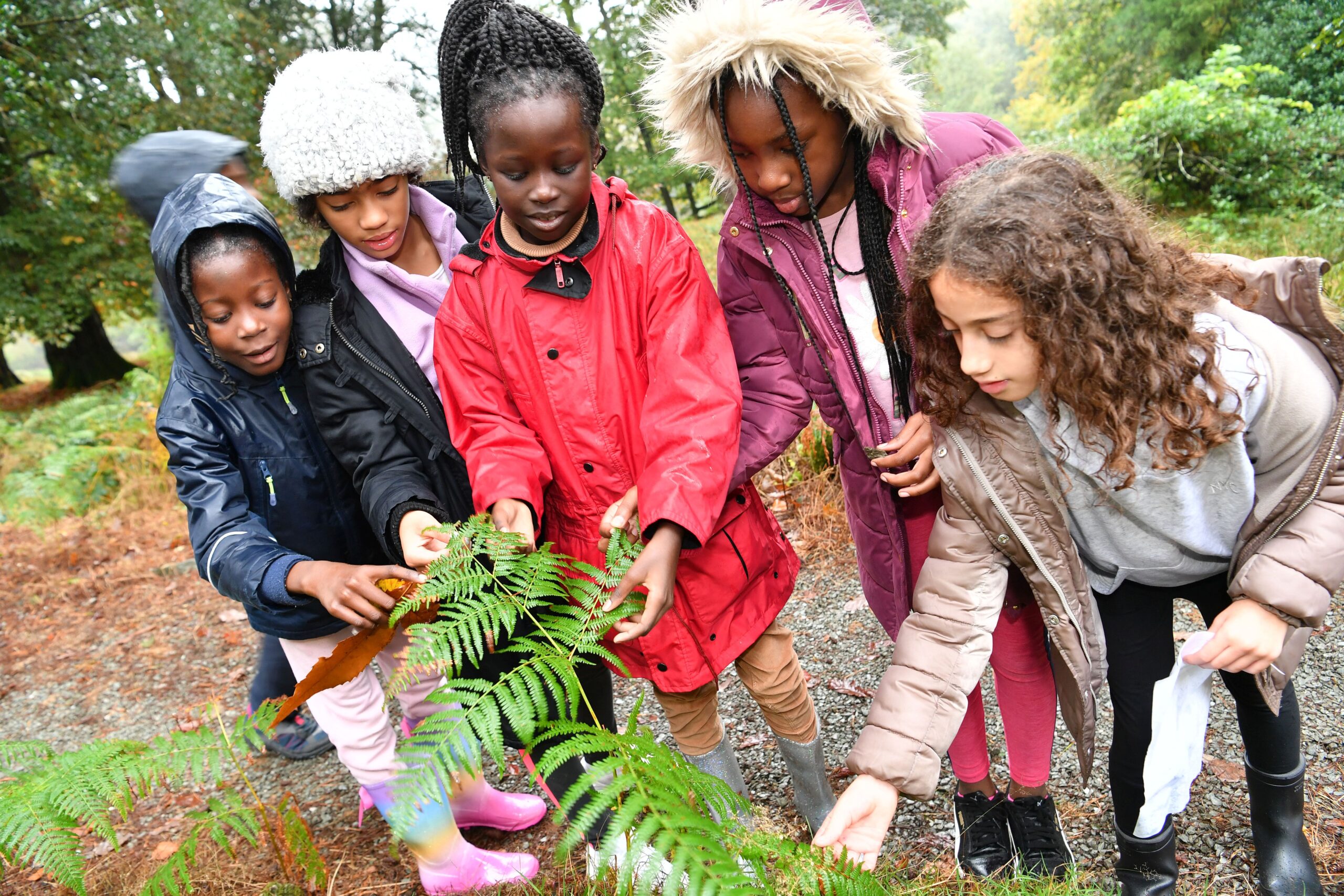 A group of five girls identifying different leaves on a school trip