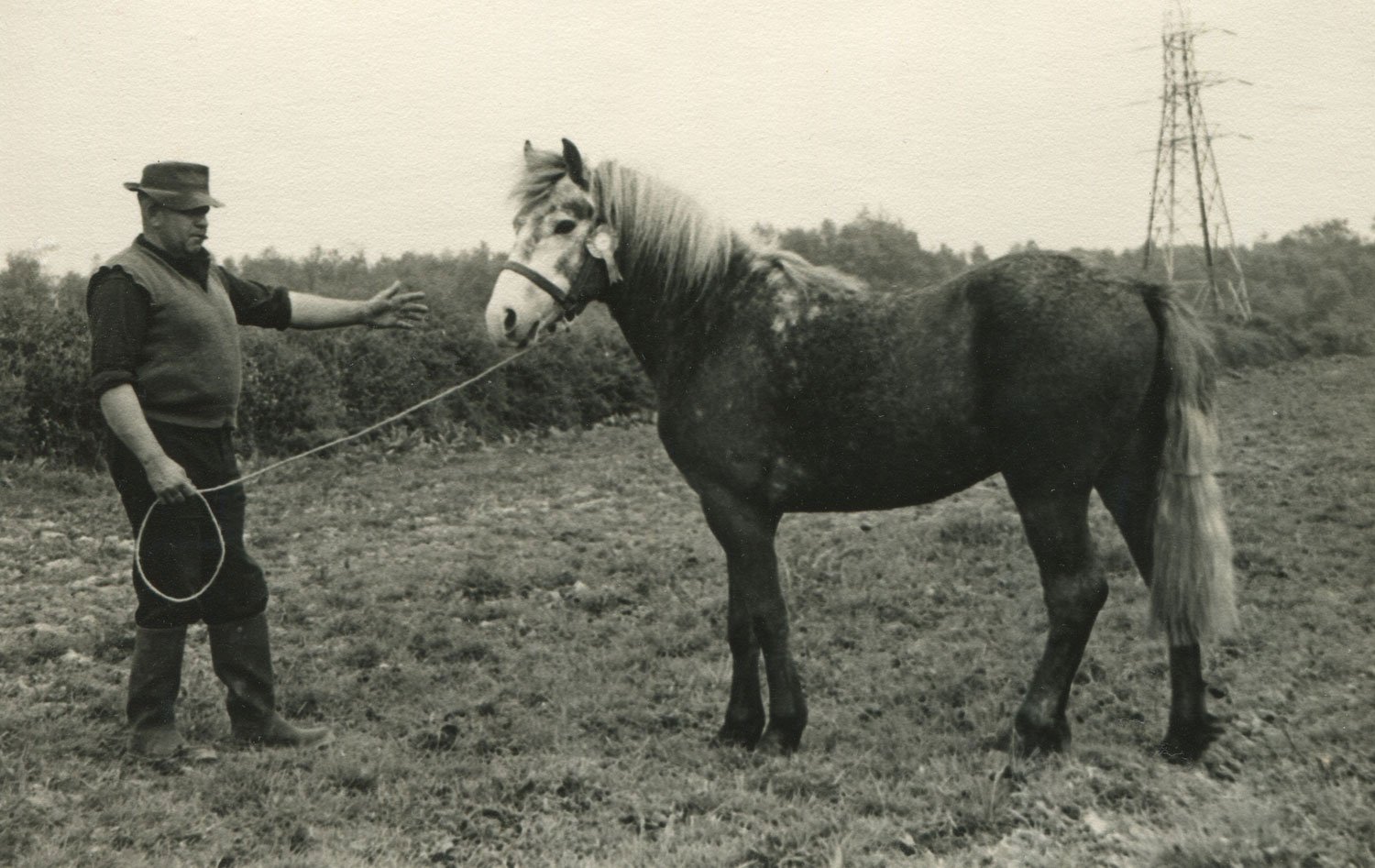 A man and a prize winning pony