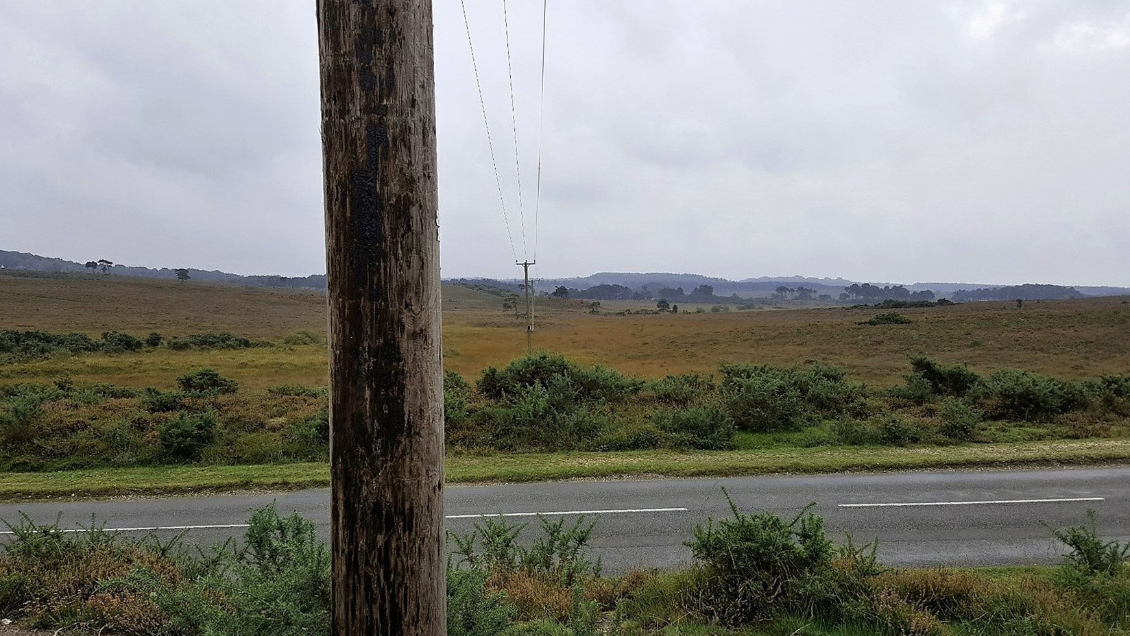 Burley AONB – Before 1jpg