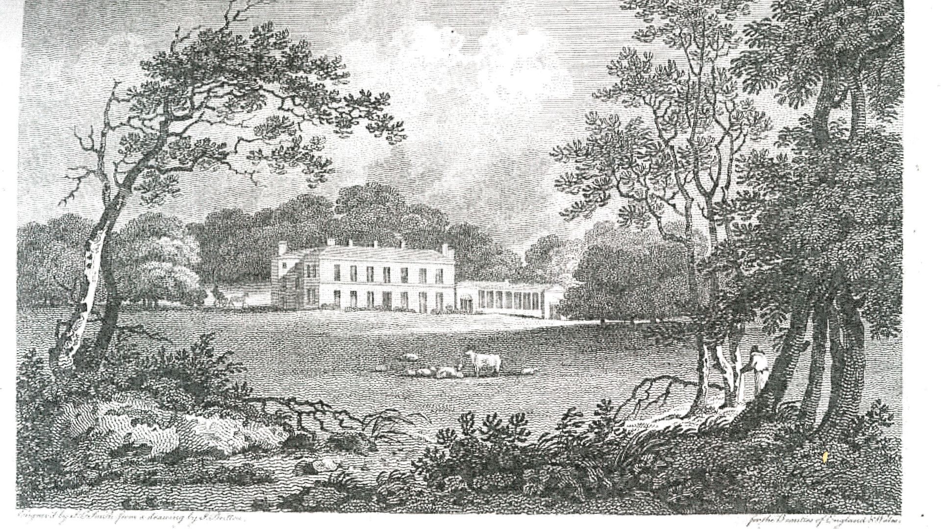 Engraving of Cuffnells Park country house on a hill, framed by trees, with sheep grazing in the foreground meadow