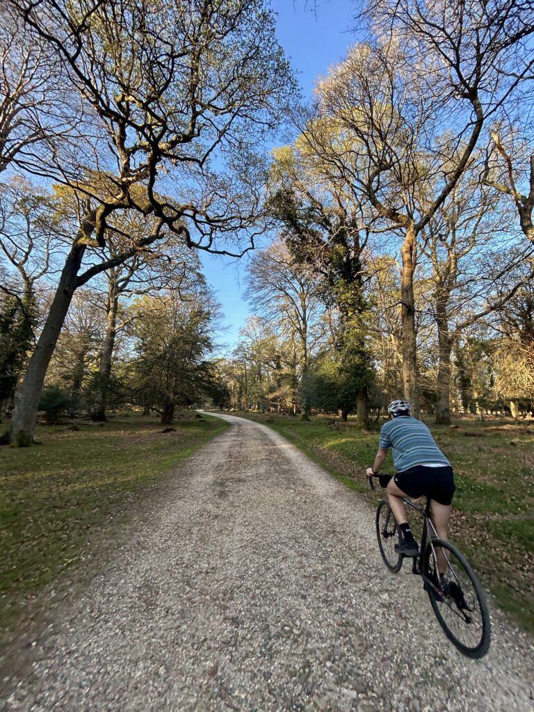 Cyclist riding along a gravel path through New Park woodland in Brockenhurst under a clear blue sky