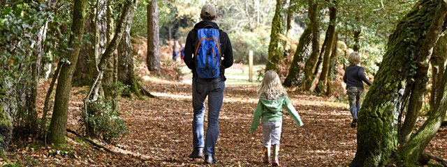 New Forest National Parks Authority. Kids Wild Play.
