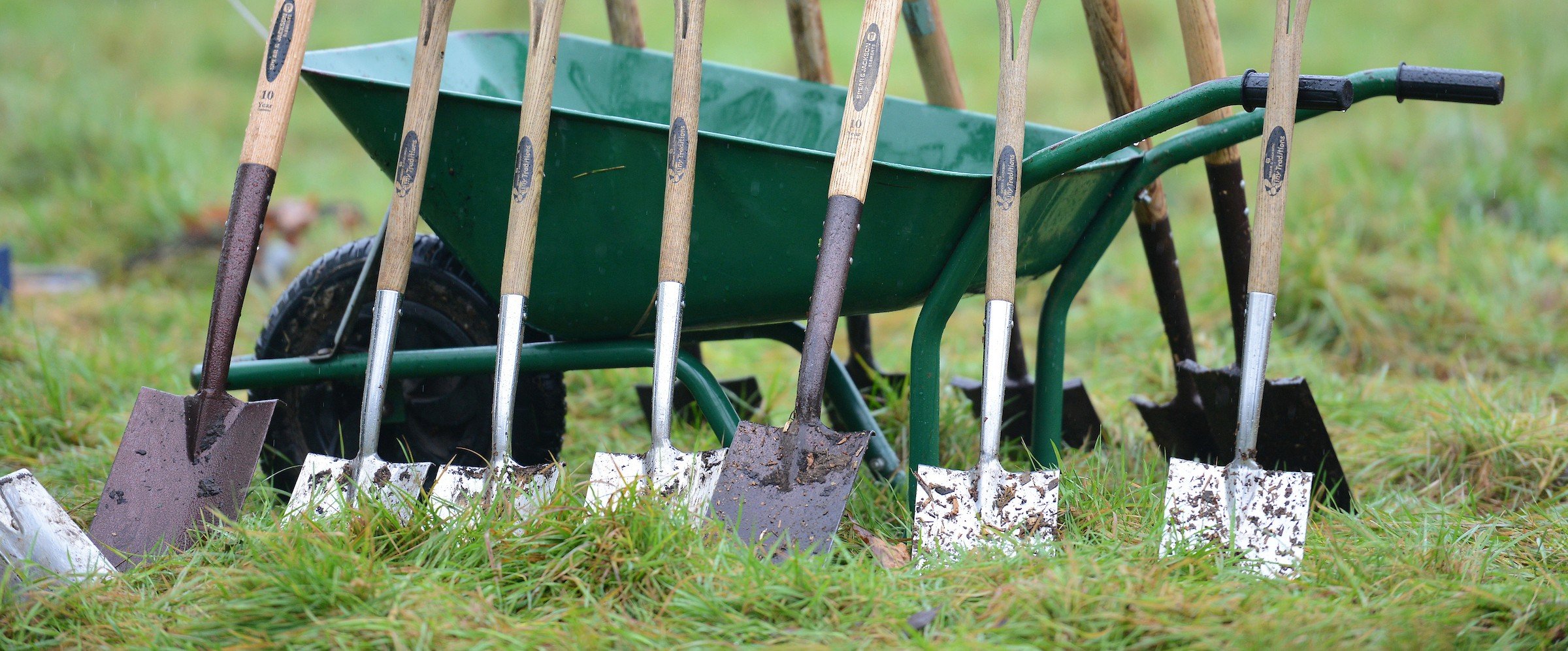 Family Trees 2018[7393]