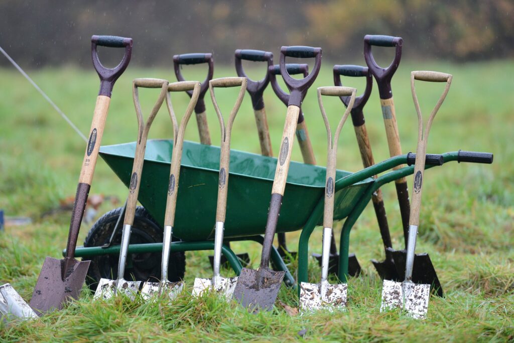 Row of shovels and spades propped in front of a green wheelbarrow on wet grass in a field