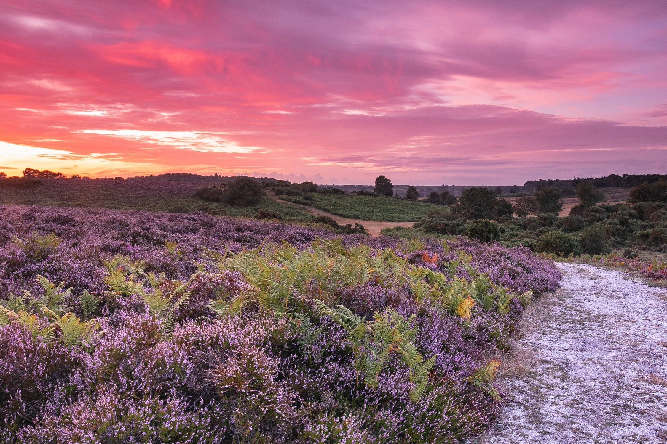 Photo taken by Christine