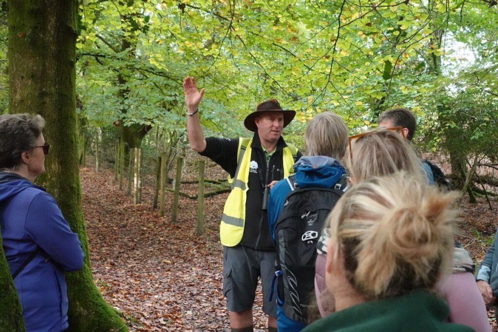 Jim Day in the Forest