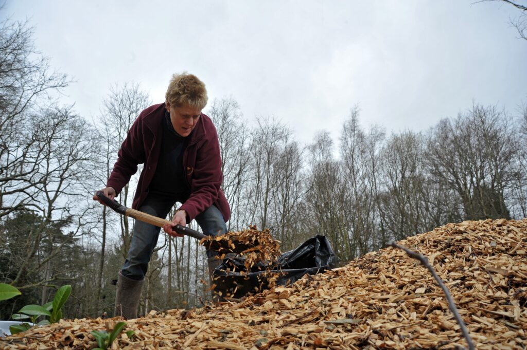 A volunteer scoops mulch into a black sack