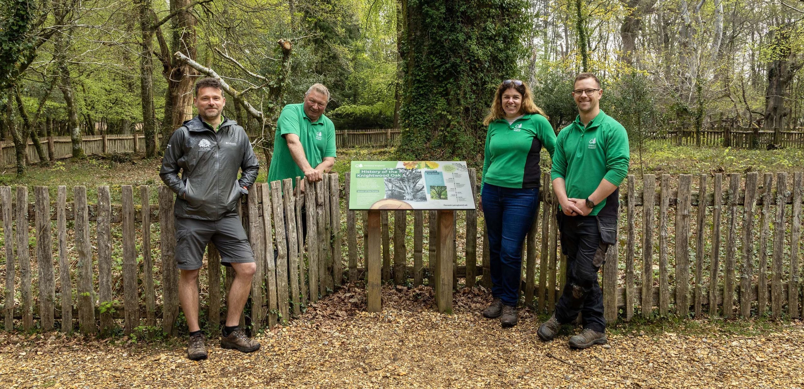 Knightwood-Oak_Credit_ForestryEngland hero