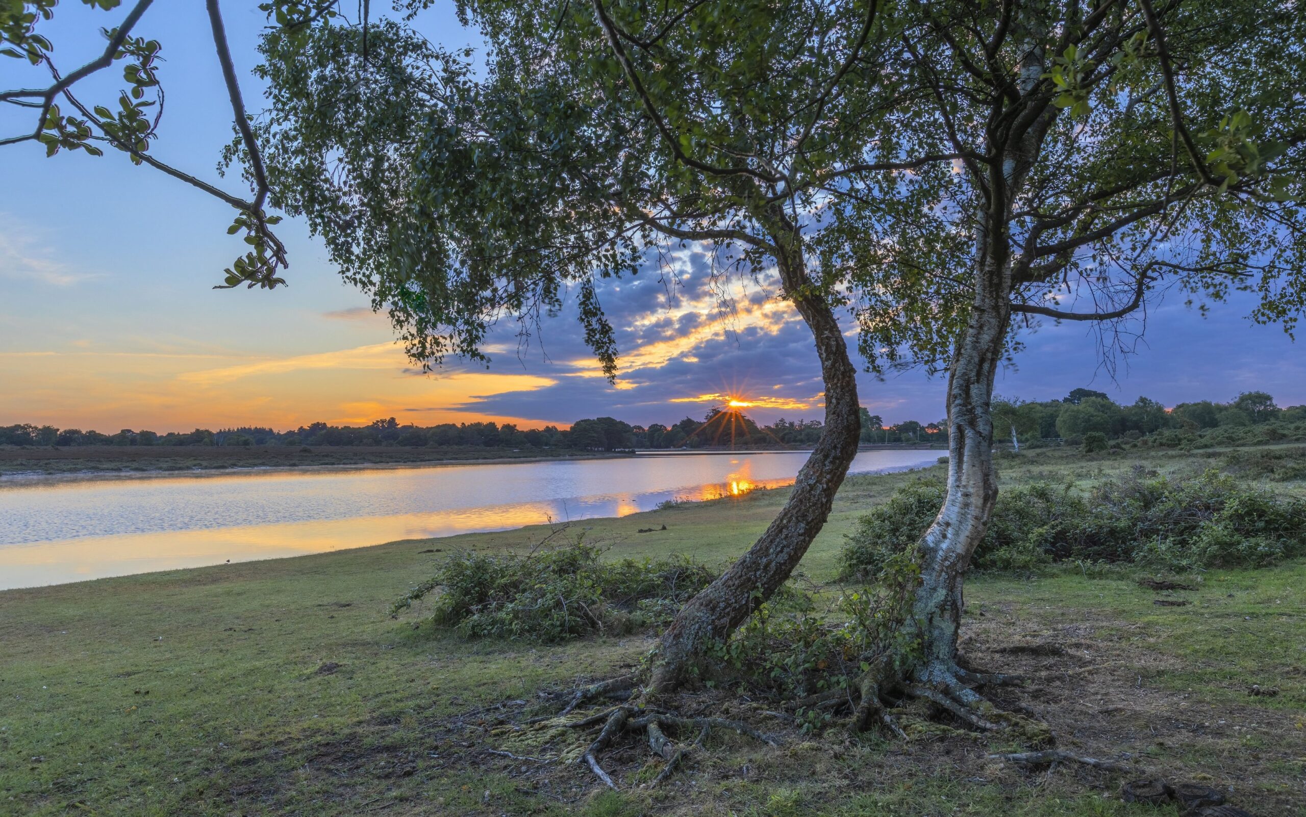 Hatchet Pond by Nick Lucas
