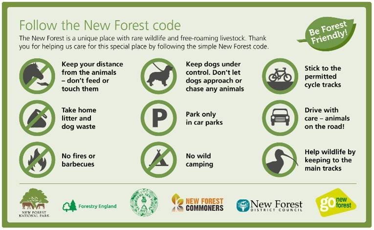 Infographic of the New Forest code
