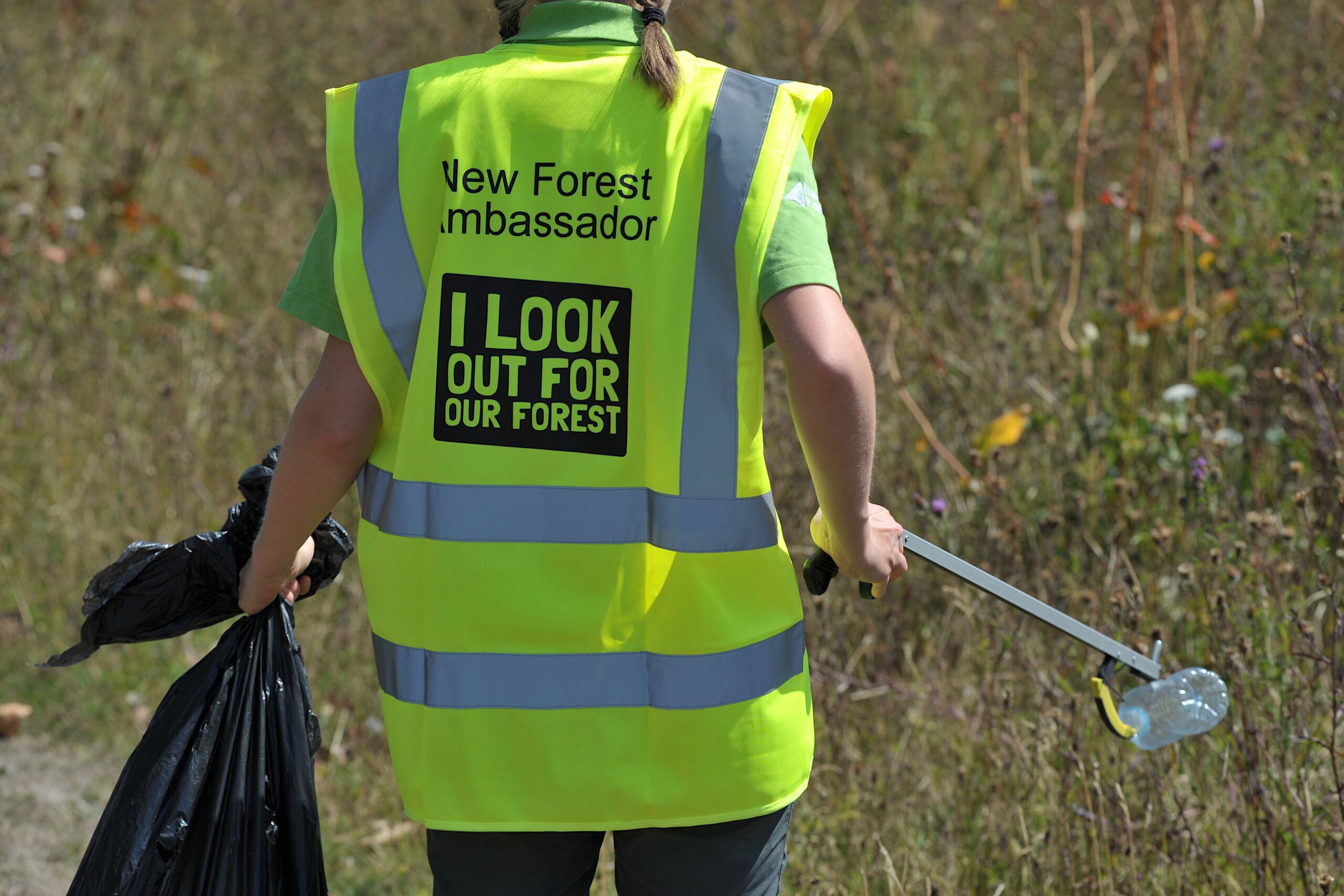 View of the back of a New Forest National Park Authority Ranger litter picking with black sack and wearing a high visibility tabard.