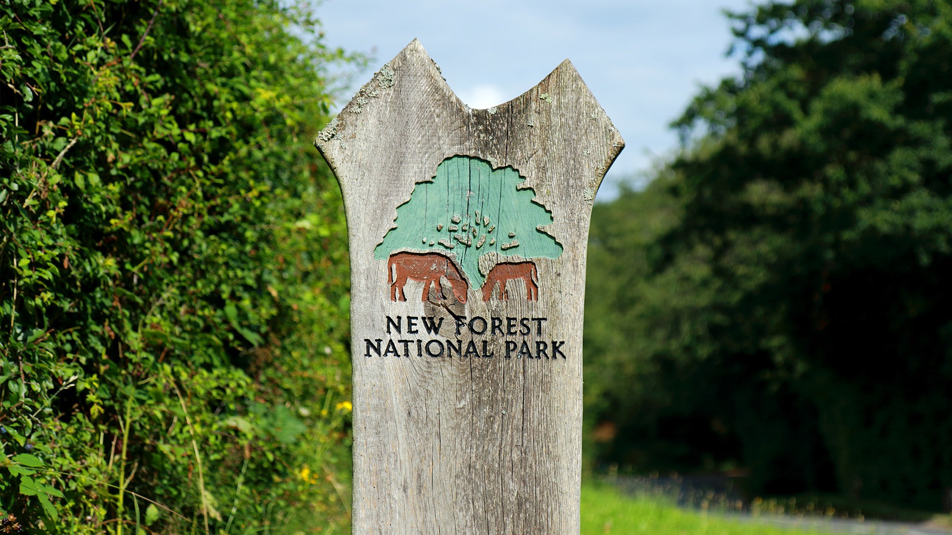 Wooden sign reading New Forest National Park with carved tree and ponies, beside a green roadside path
