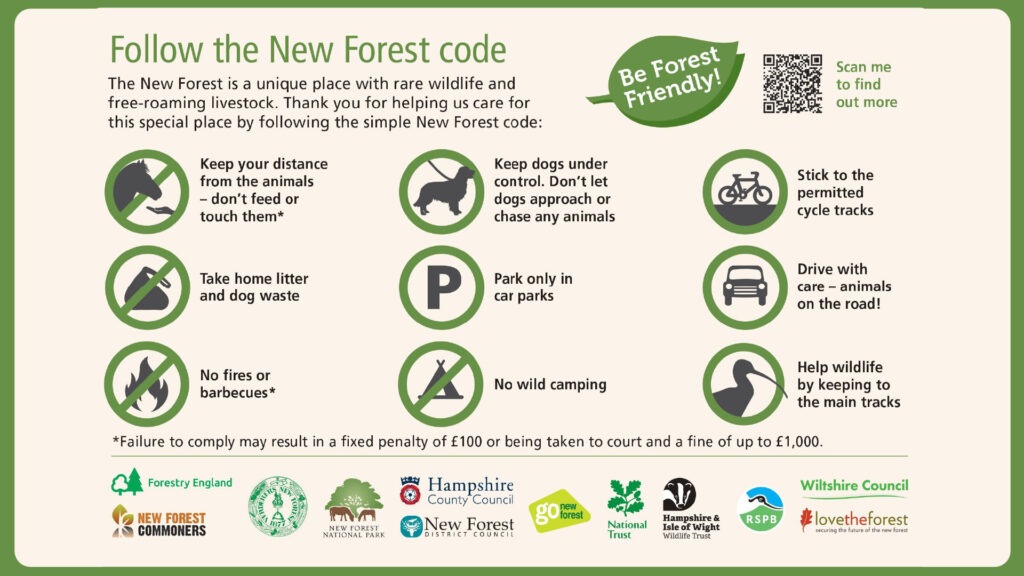 Poster titled Follow the New Forest code with icons and rules: keep dogs controlled, don’t feed animals, no fires, no wild camping, take litter home