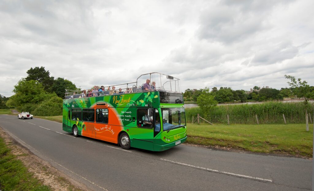 New Forest Tour