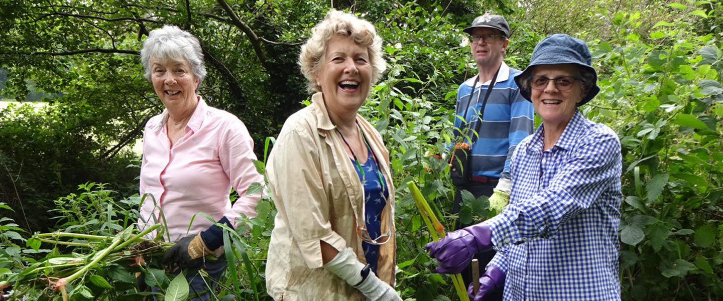 Volunteers clearing plants