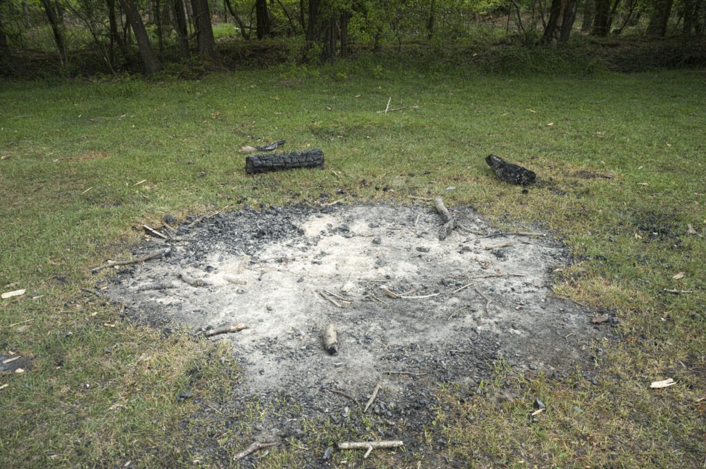 Ash and charred logs from an extinguished bonfire on grass near Ashurst in the New Forest, with trees in the background