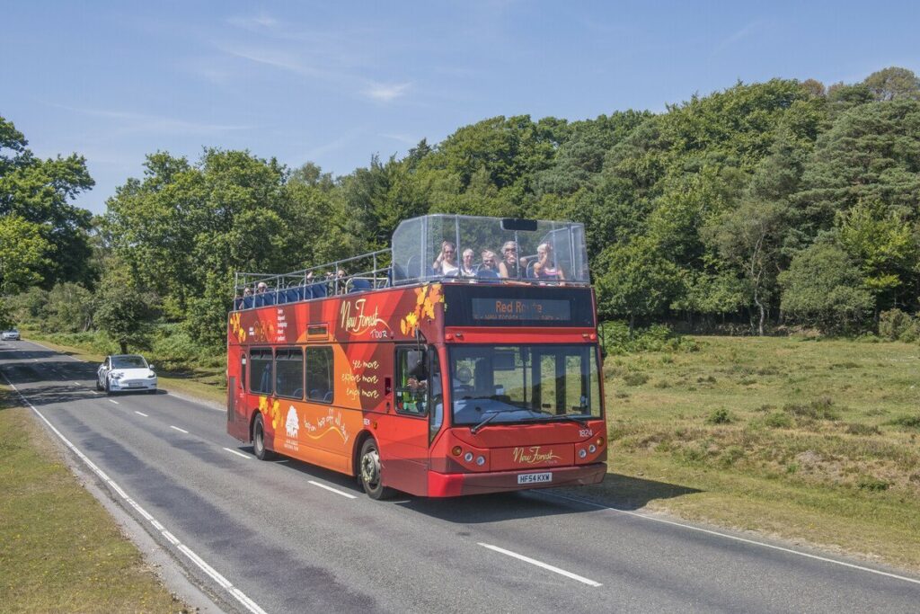 Open top New Forest Tour bus driving through a green wooded area with blue skies above.