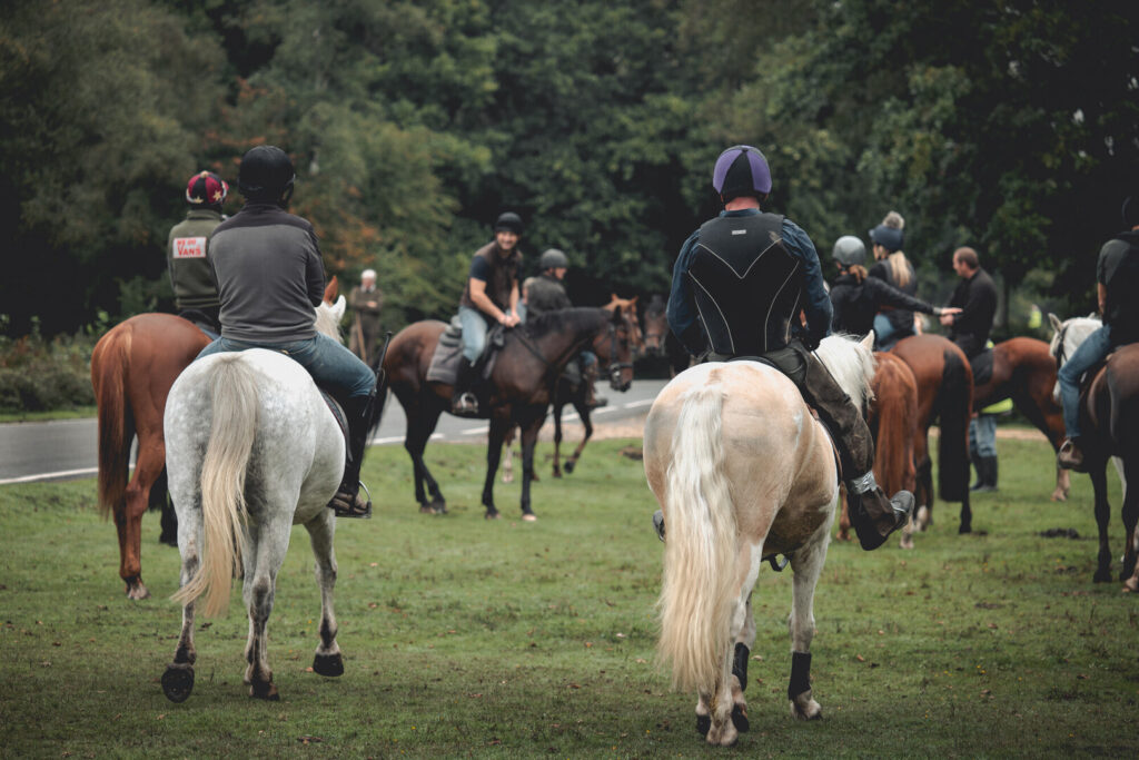 Riders on ponies gather on grass near a road during a pony round-up, seen from behind with trees in the background