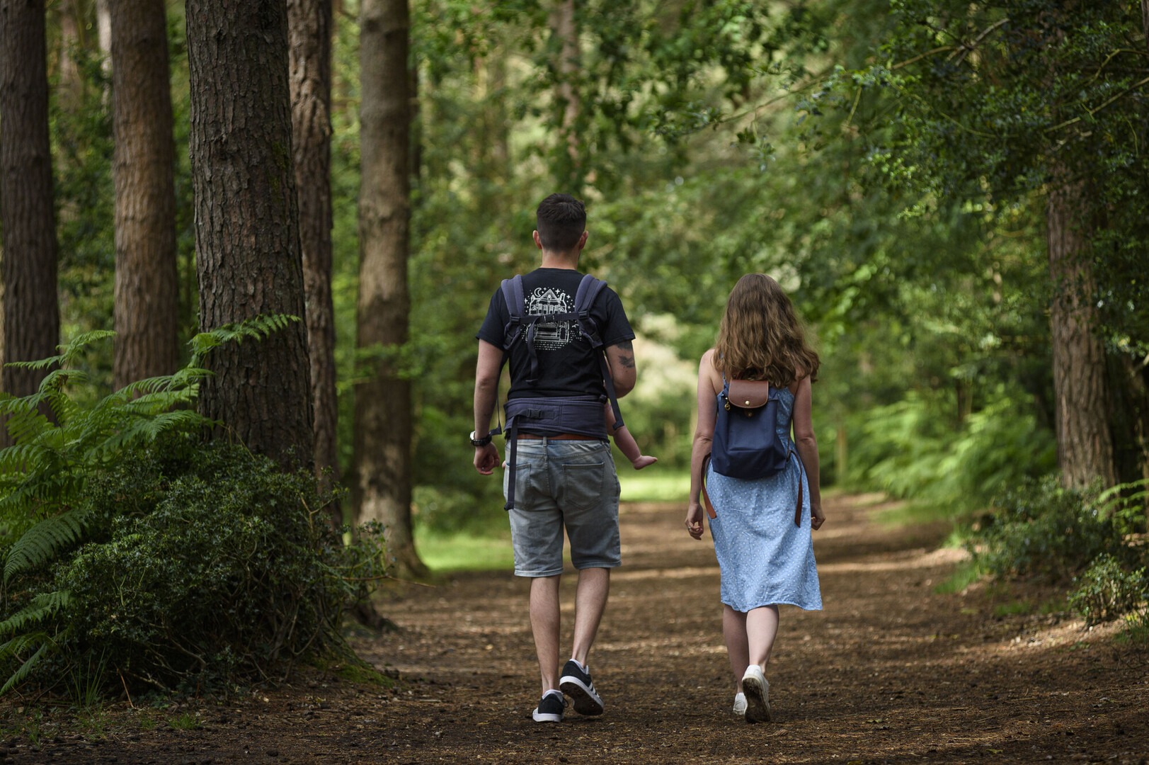 Two people walk among trees on a New Forest trail.