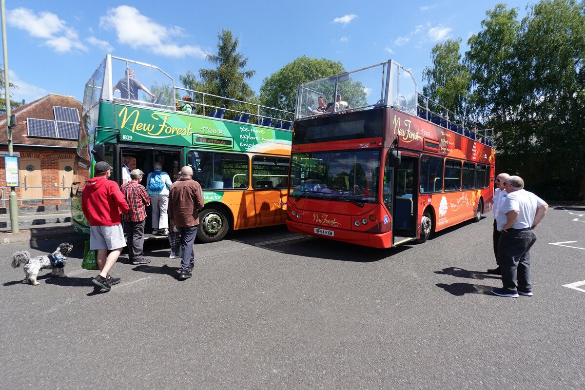 The New Forest Tour red and green buses parked next to each other. People are boarding the green bus. Some are sat on the open-top deck of both buses
