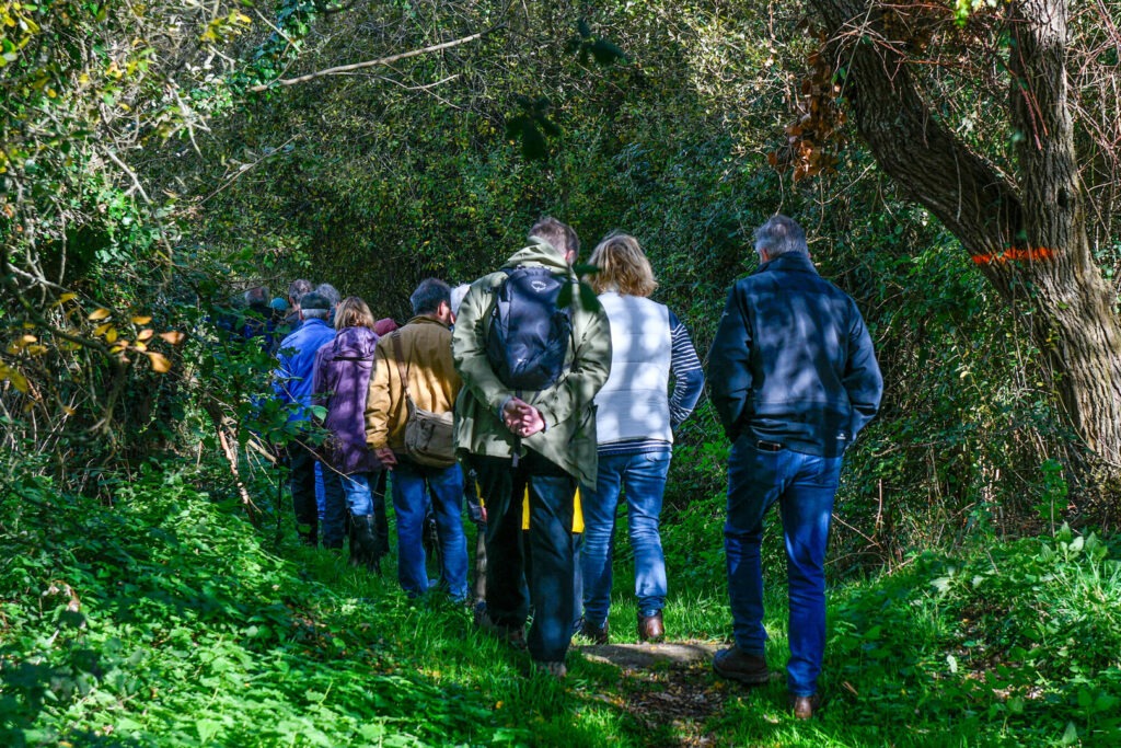 A group of walkers walk along a tree-covered trail with lush greenery and sunlight.