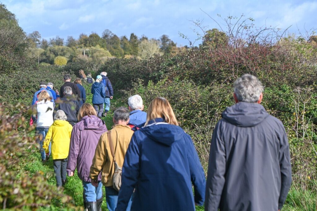 Walkers on the Breamore Railway Line during an organised walking in the New Forest Walking Festival 2025