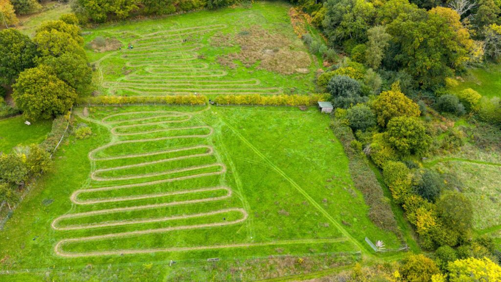 Aerial view of a green field with winding mown strips for wildflower plug planting, bordered by trees and a small shed