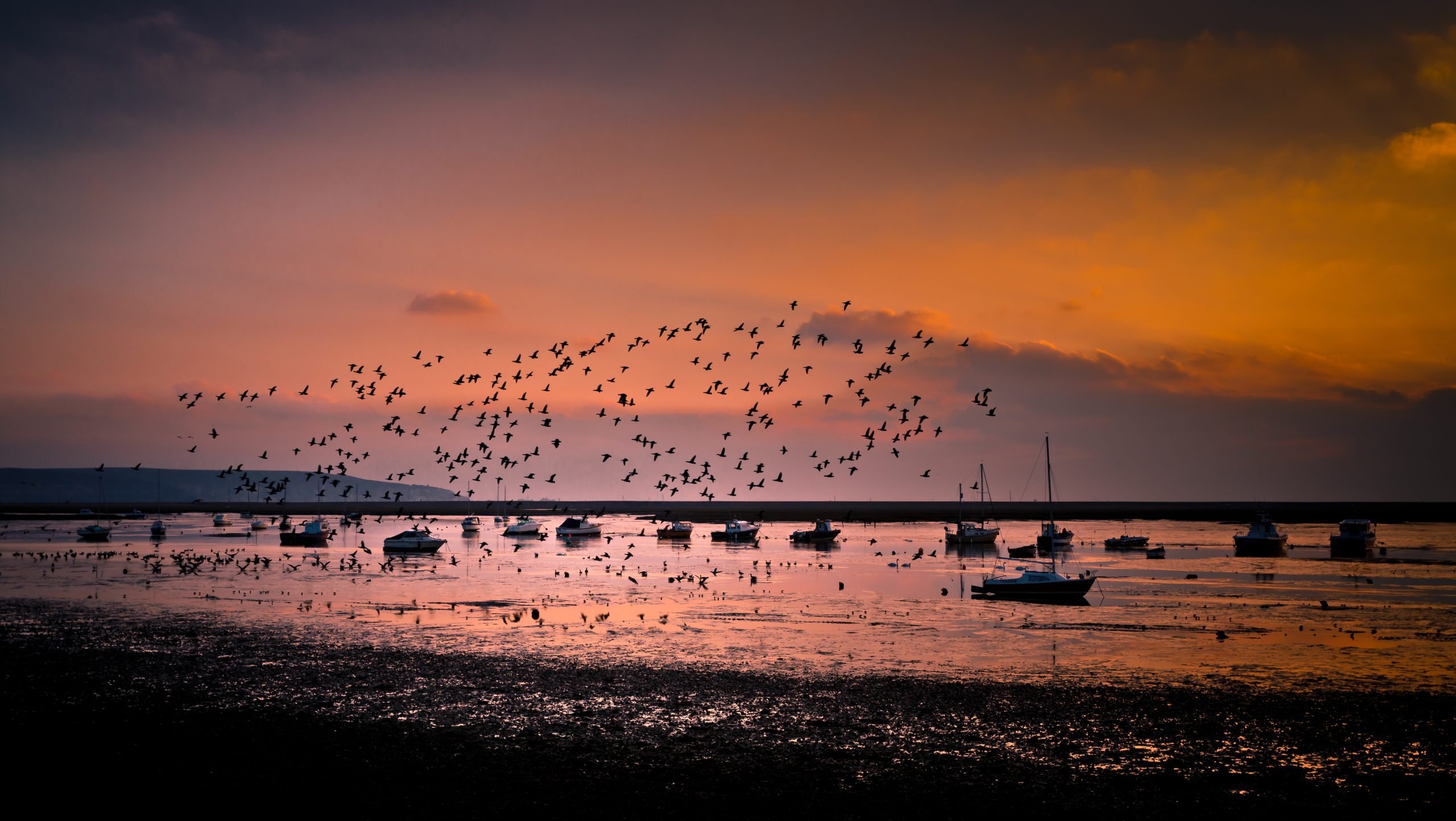 credit Alex Kerslake