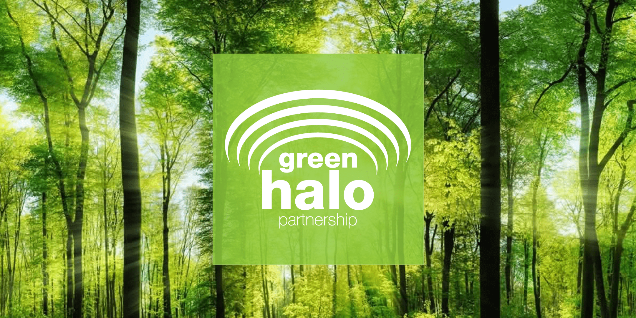 green halo logo