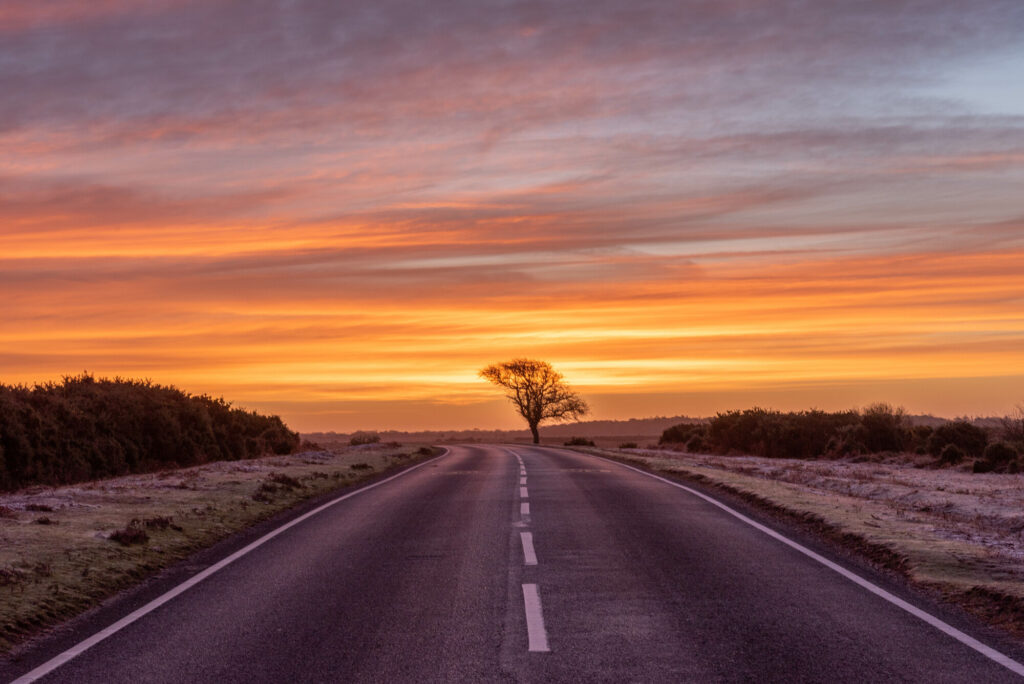 New Forest Road sunset
