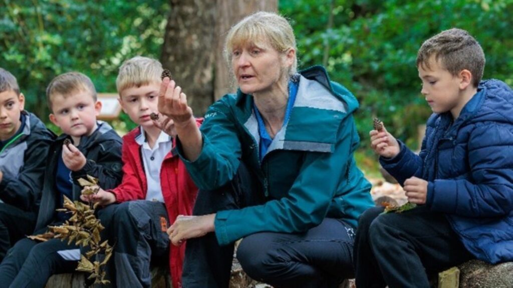 Outdoor instructor shows children a pine cone during a woodland activity at Brockhole, Lake District National Park