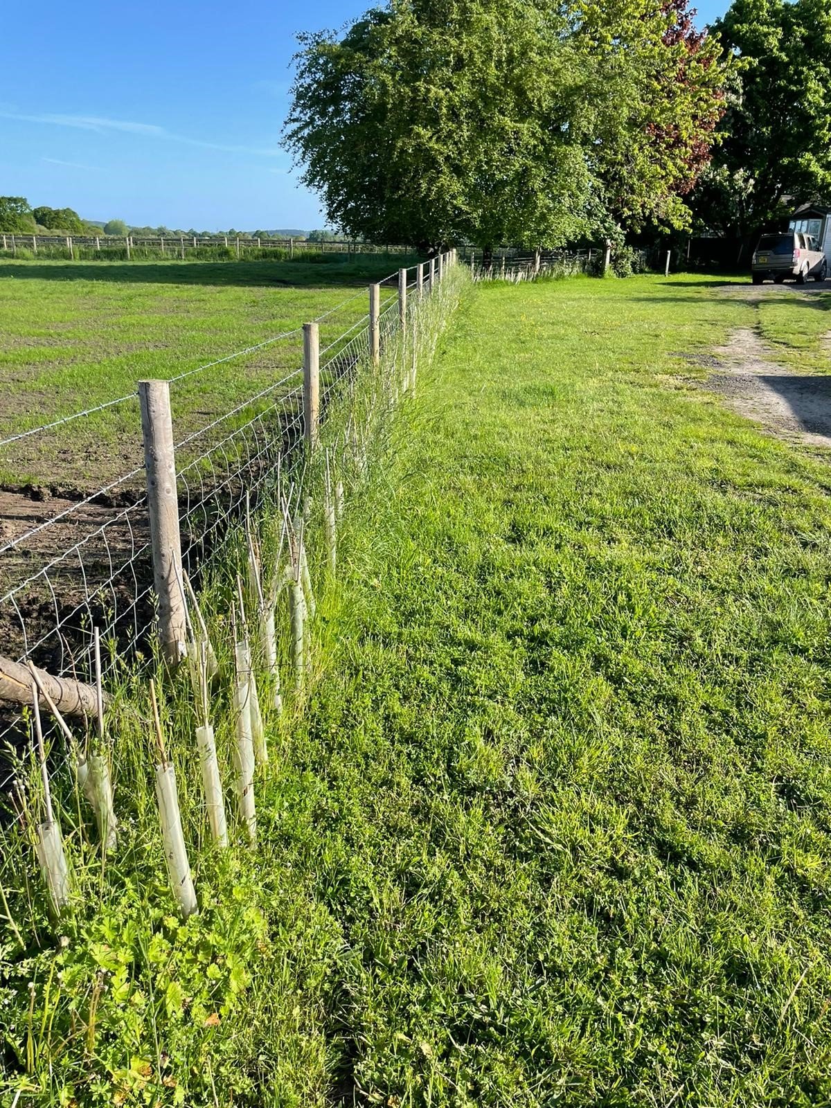 Brooklands Fordingbridge hedgerow planting