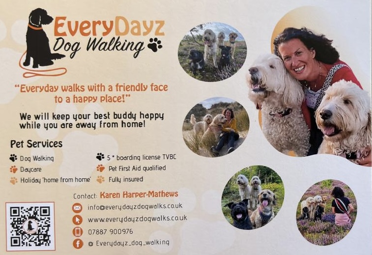 EveryDayz Dog Walking header
