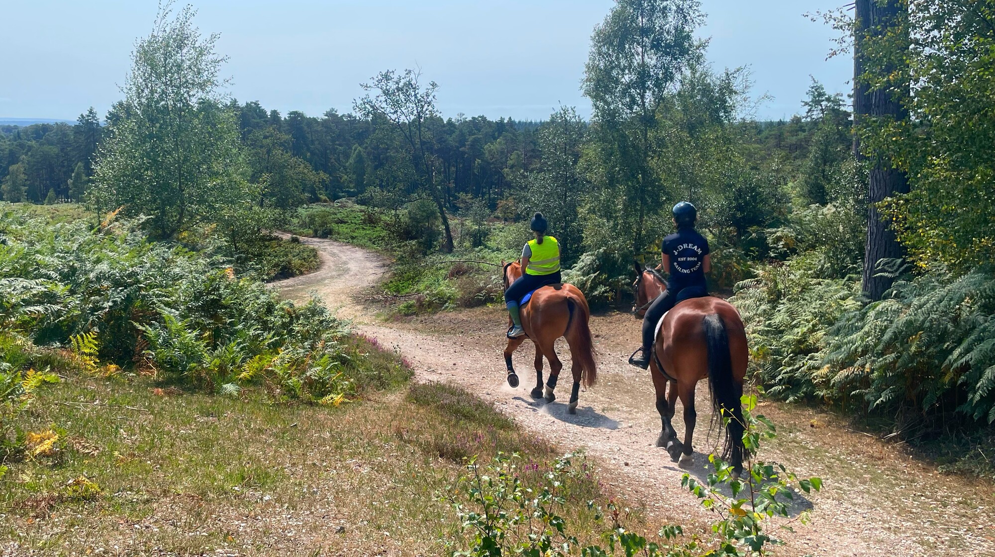 horse riders in the New Forest
