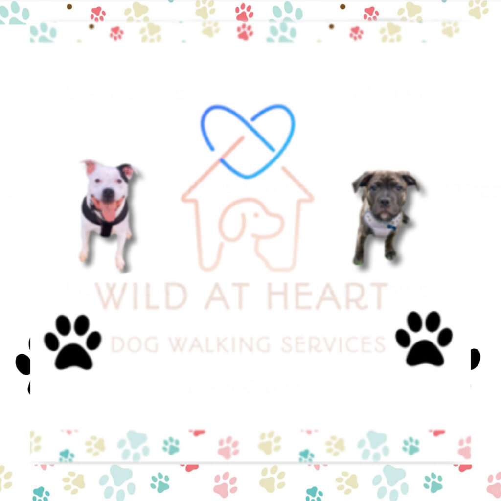 Wild at heart dog walking