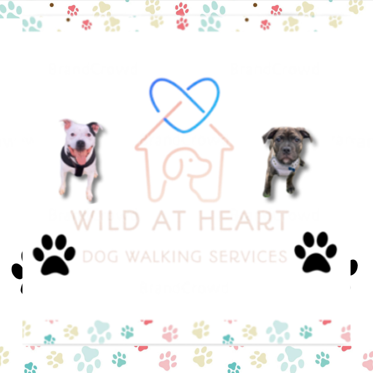 Wild at heart dog walking