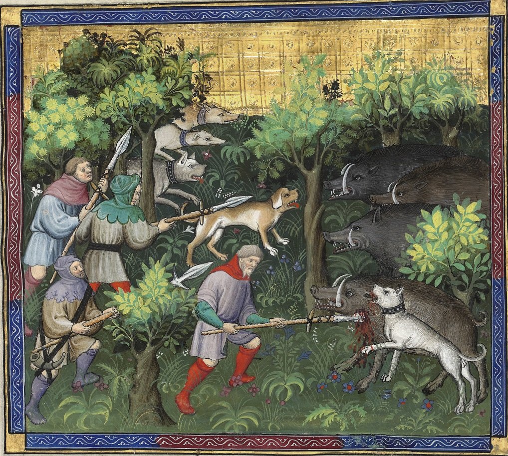 Medieval illustration of men with spears and hunting dogs attacking wild boars in a forest clearing