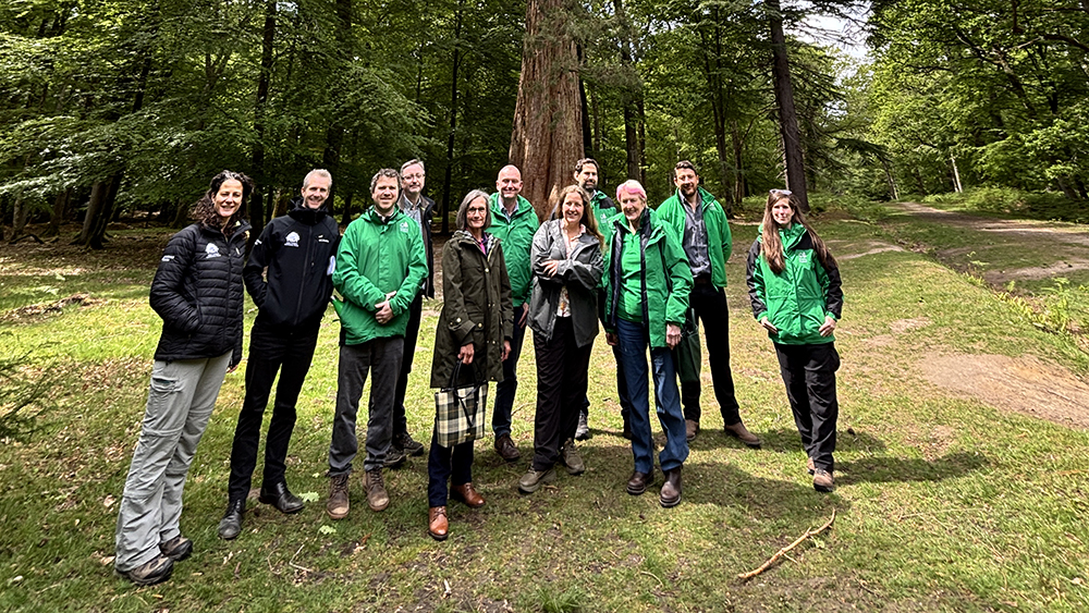 Group of NFNPA and FE staff with Baroness Young standing in a forest clearing at Blackwater near Lyndhurst