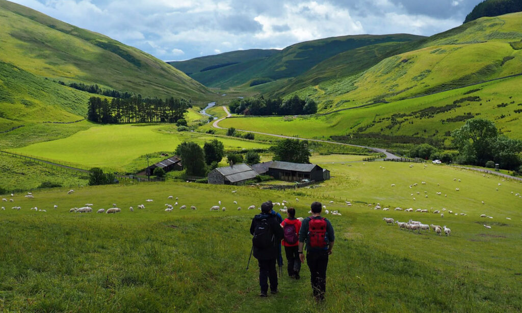 Walkers in a green valley