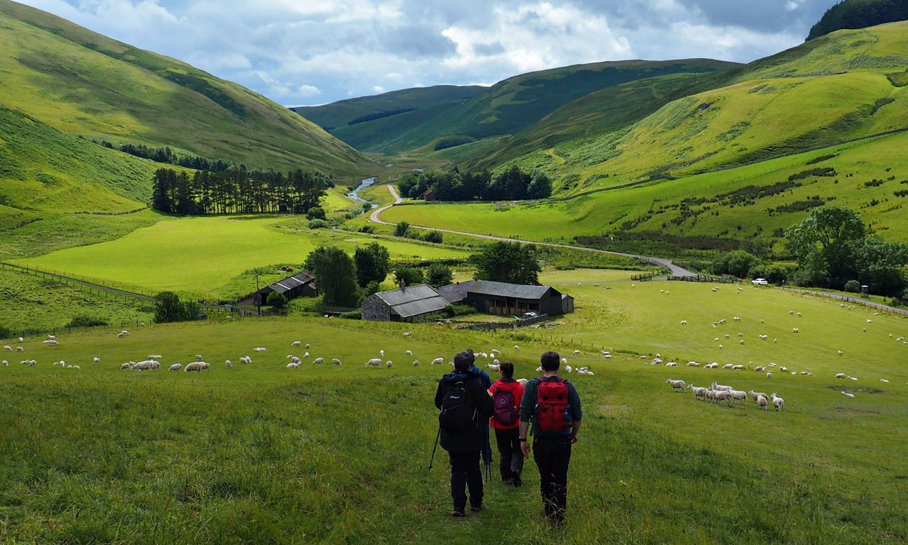 Walkers in a green valley