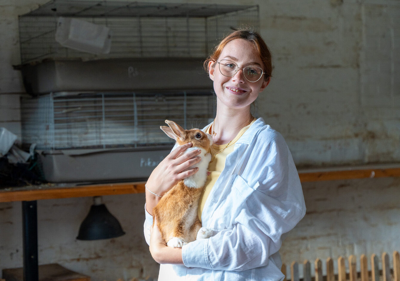 Young woman wearing a light blue shirt smiles while holding a white and ginger rabbit.