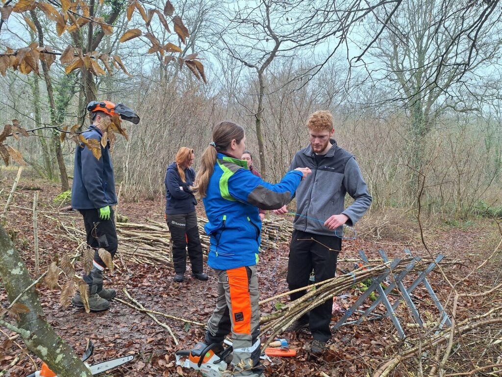 A group of people in a wooded area. A young man is observing a woman in high vis demonstrating knot tying. They are stood next to a metal frame holding coppiced hazel.
