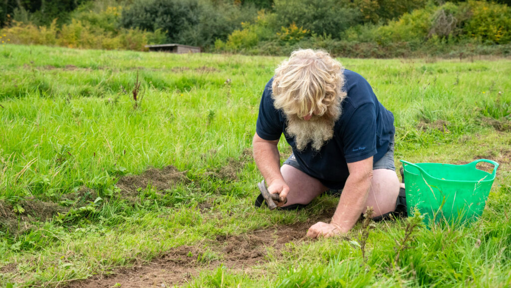 Volunteer kneeling in a grassy field planting wildflower plugs, with a green bucket beside them at Furze Hill Farm